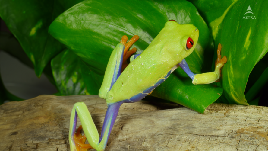 Mocne wejście Ultra HD