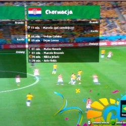 Drogie reklamy na Mistrzostwach Świata w TVP