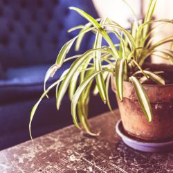 Badania oglądalności do poprawki?