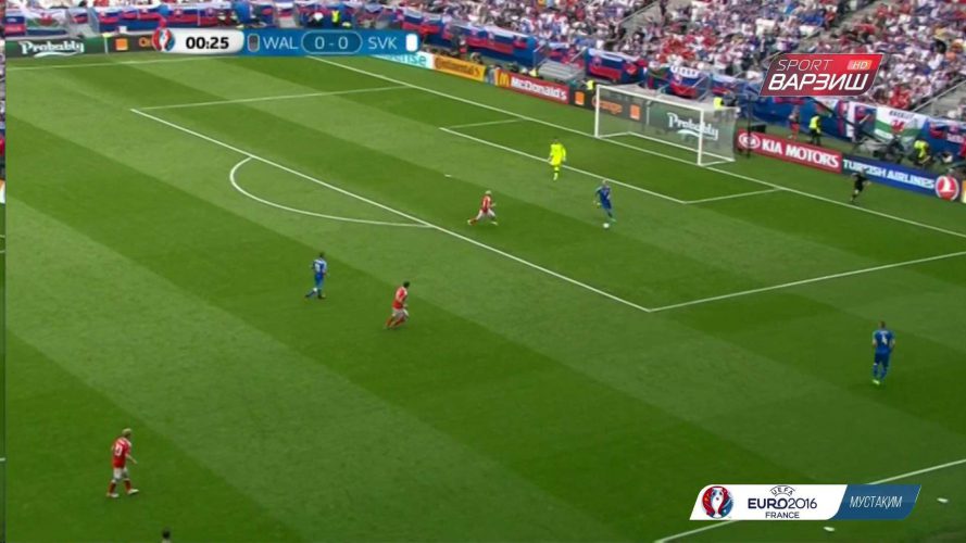 Euro 2016 w telewizji zagranicznej za darmo - podsumowanie