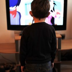 O Matko! Świeżaki w TVN