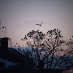 Zasypiasz przed telewizorem to się lecz